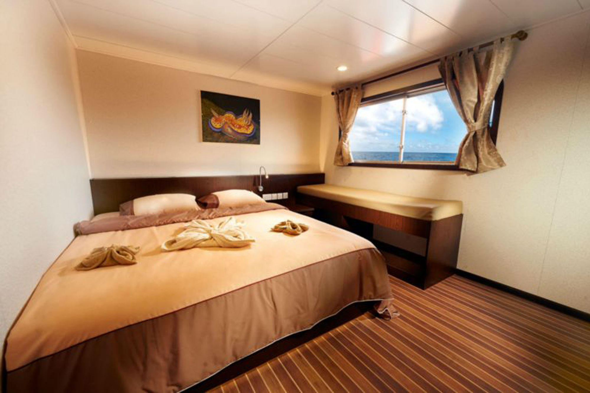 Upper Deck Cabin - Blue Manta