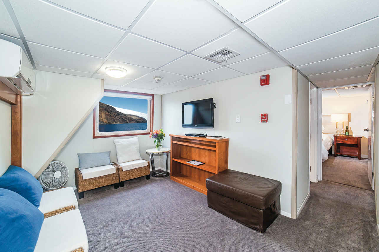 Premium Suite