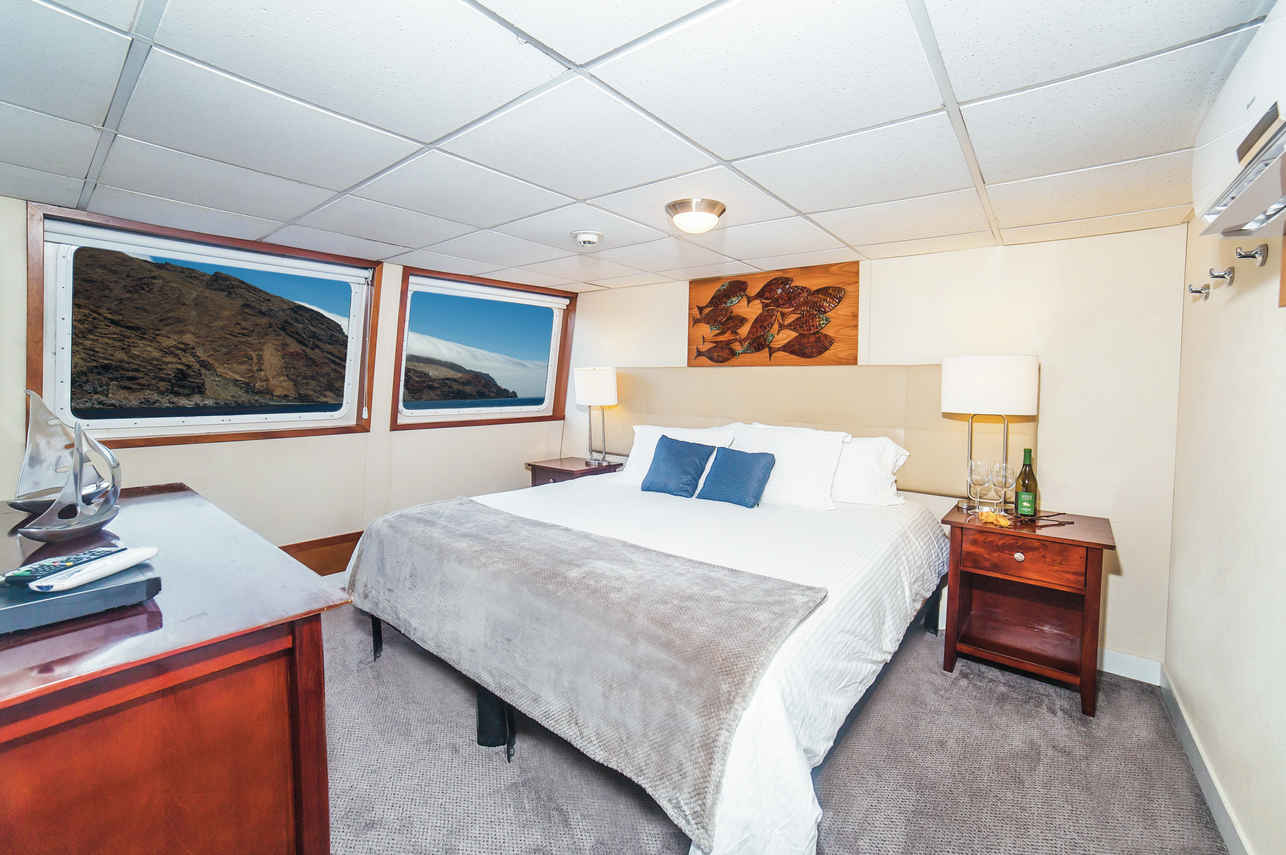 Premium Suite