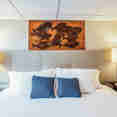 Premium Suite