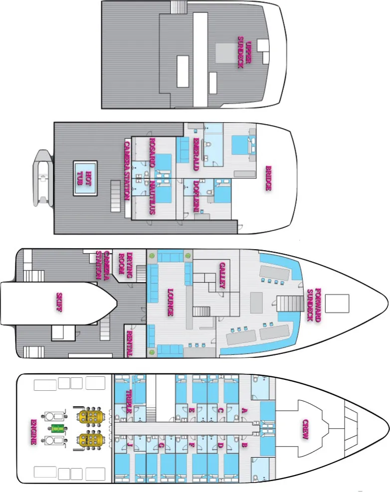 disposizione del ponte