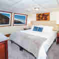Premium Suite