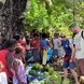 Local Market