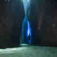 Diving at Solomon Island