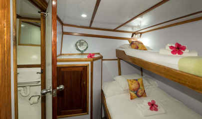 Large Single Cabin 6