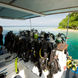 Cubierta de buceo - Febrina