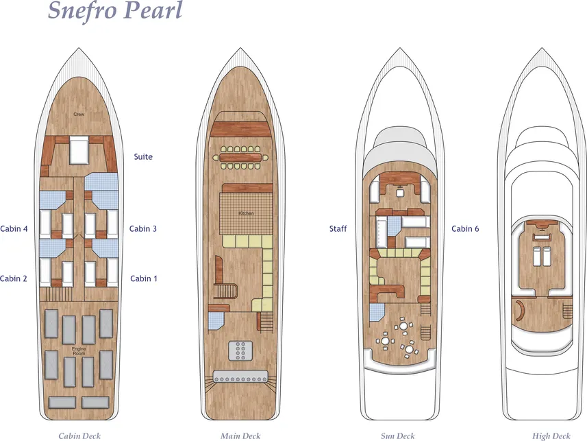 disposizione del ponte