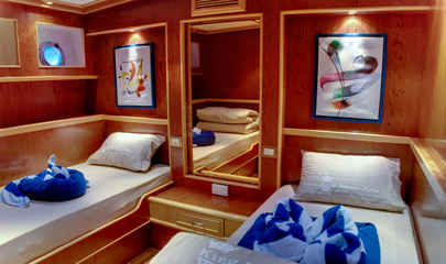 Twin Cabins - Lower Deck 