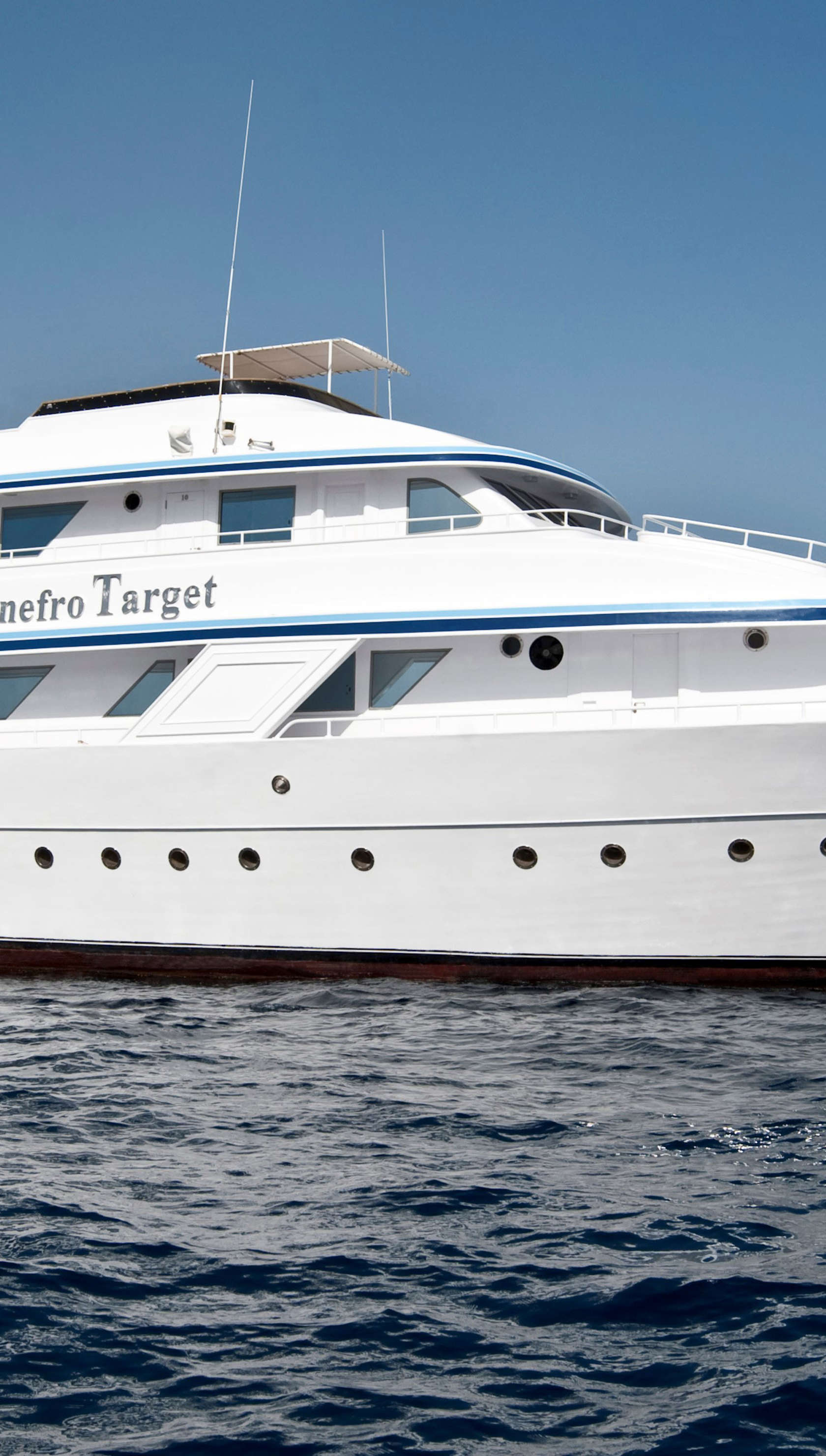 Snefro Target