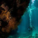 Red Sea Cave
