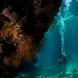 Red Sea Cave