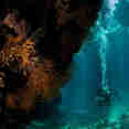 Red Sea Cave