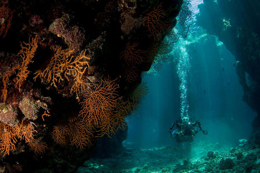 Red Sea Cave