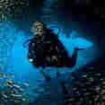 Red Sea Diver Wreck