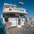 Dive Platform - Blue Adventurer