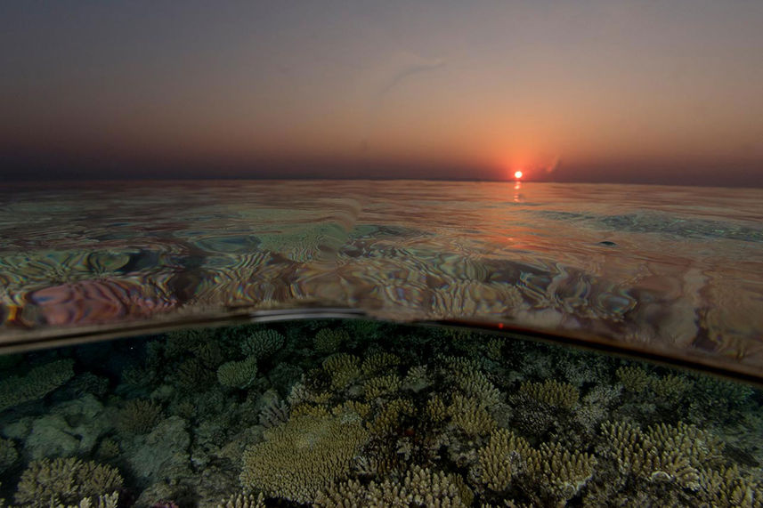 Red Sea Sunset