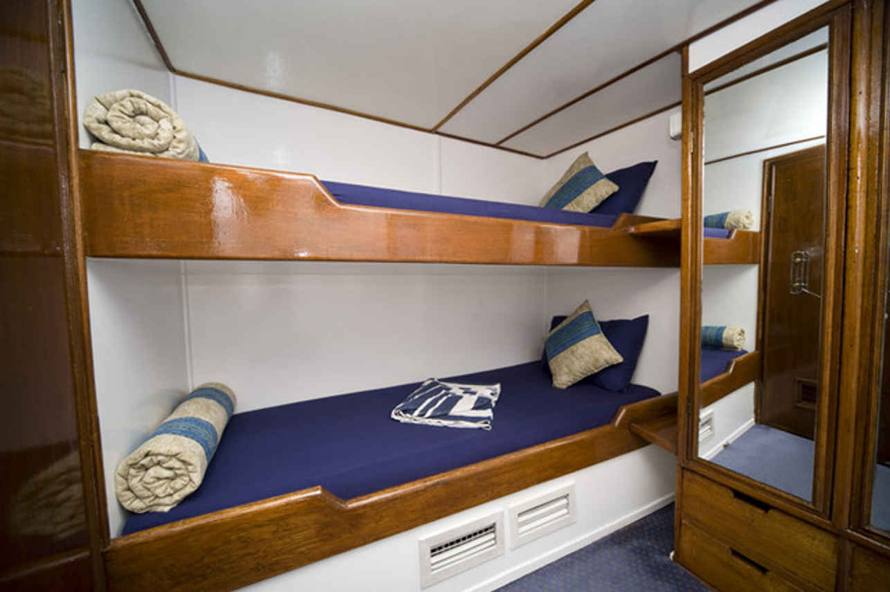 Bunk Bed Cabin - King Snefro 3