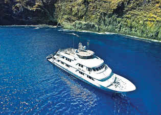 Nautilus Belle Amie
