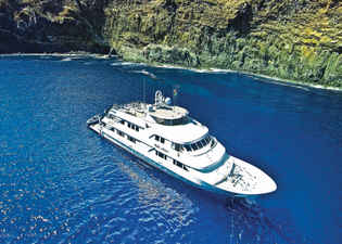 Nautilus Belle Amie