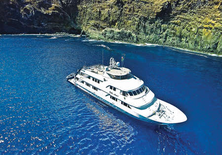 Nautilus Belle Amie