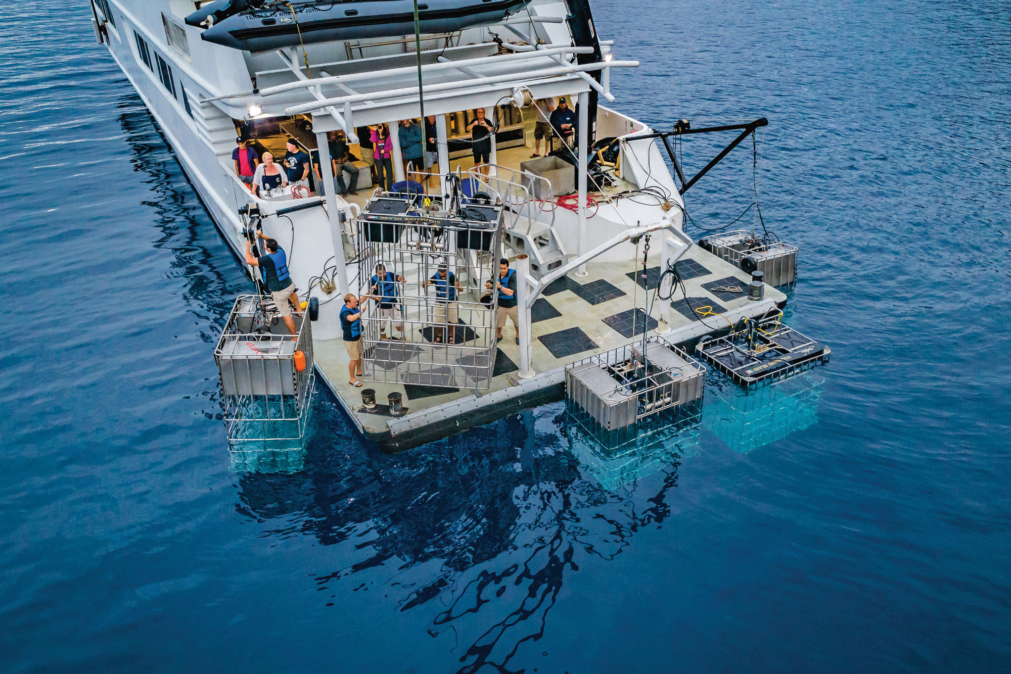 Dive Platform - Nautilus Belle Amie