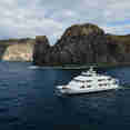 Nautilus Belle Amie