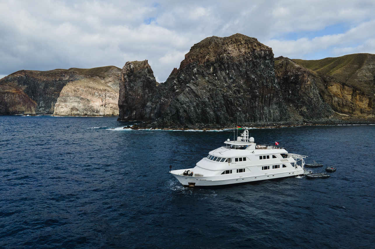 Nautilus Belle Amie