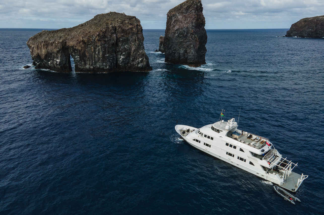 Nautilus Belle Amie