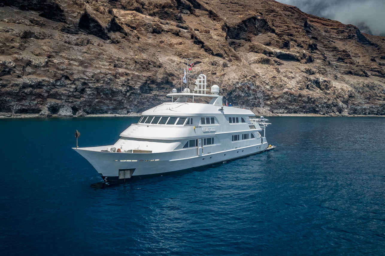 Nautilus Belle Amie