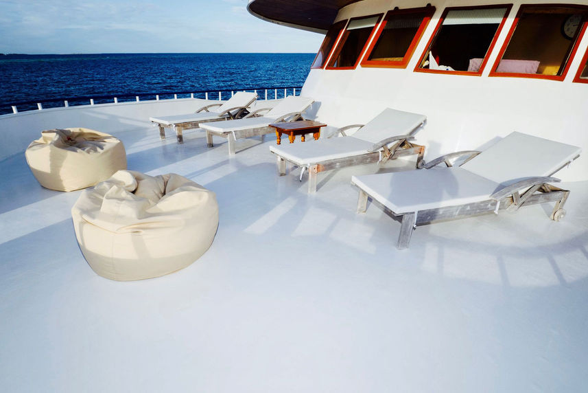 Sun Deck - Blue Shark 2