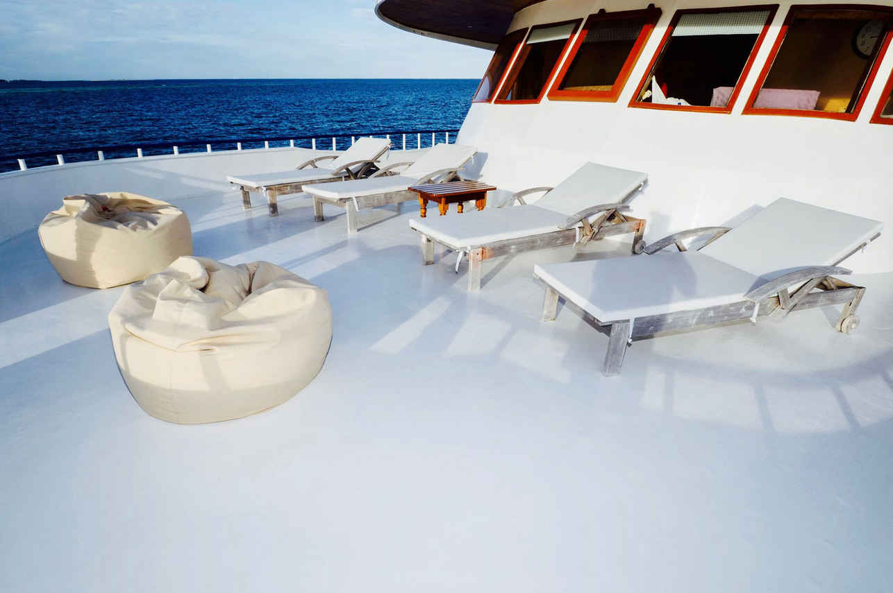 Terraza - Blue Shark 2