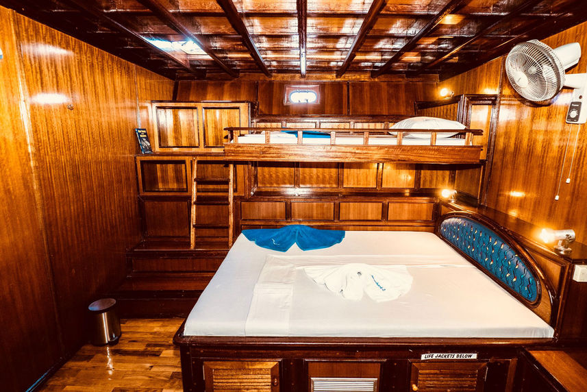 Standard Cabin - Blue Shark 2