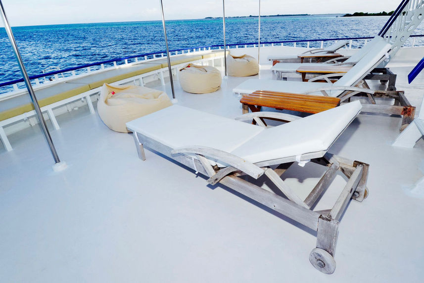 Sun Deck - Blue Shark 2