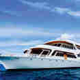Blue Shark 2