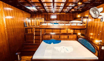 Standard Cabin