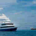 Manta Cruise Liveaboard Maldives