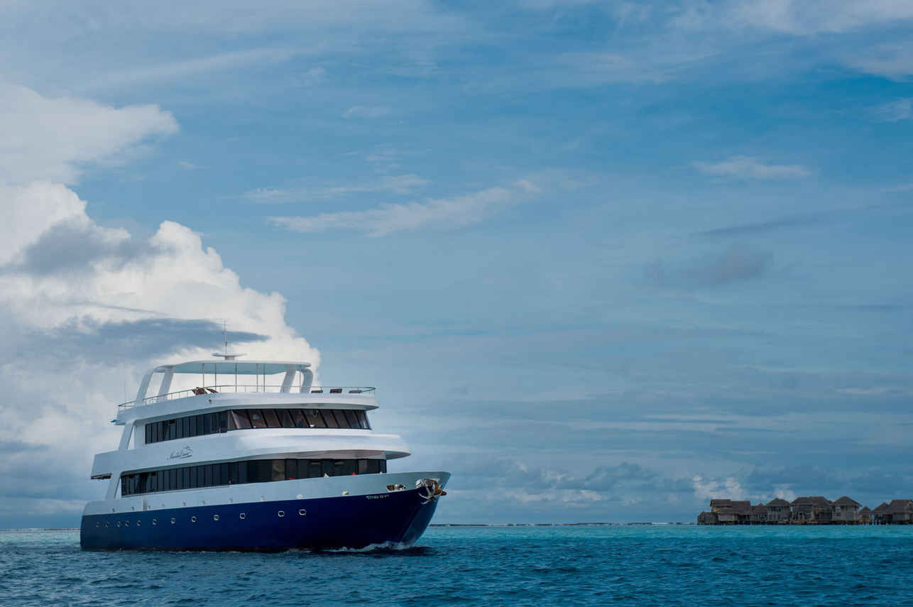 Manta Cruise Liveaboard Maldives