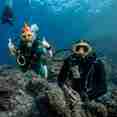Diving Underwater
