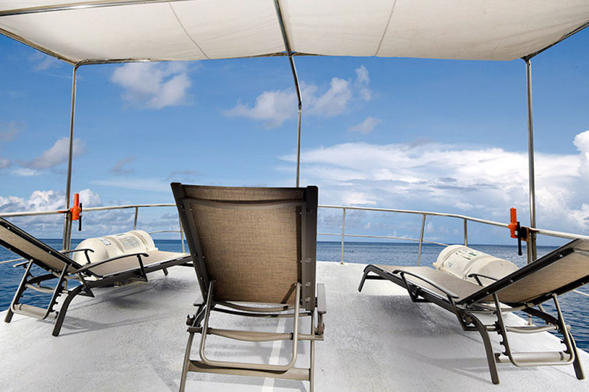 Sun Deck - Truk Master