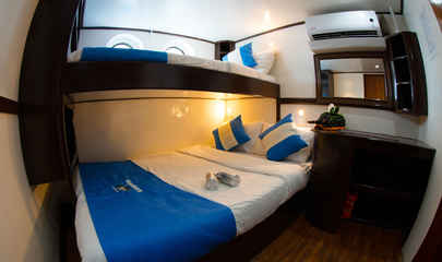 Standard Cabin - Upper Deck (N5 - N8) 