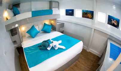 Deluxe Cabin (N1 - N2)