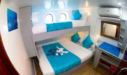 Standard Cabin - Lower Deck (N3 - N4)