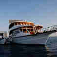 MY Sheena Liveaboard