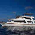 MY Sheena Liveaboard