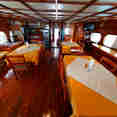Indoor Saloon - Sheena