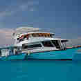 MY Sheena Liveaboard