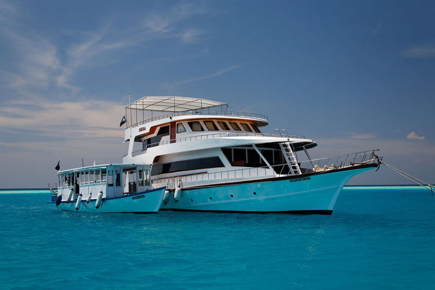 MY Sheena Liveaboard