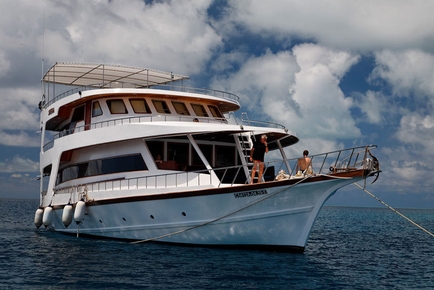 MY Sheena Liveaboard