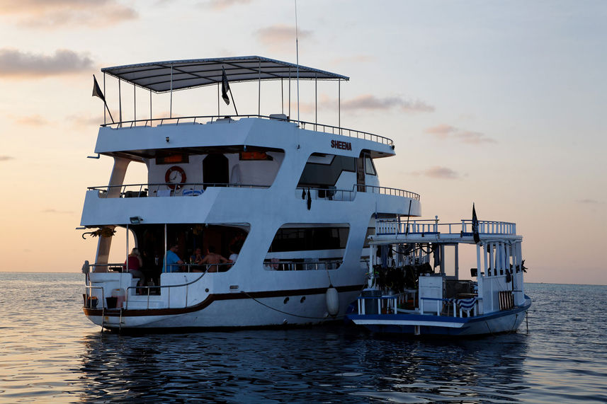 MY Sheena Liveaboard