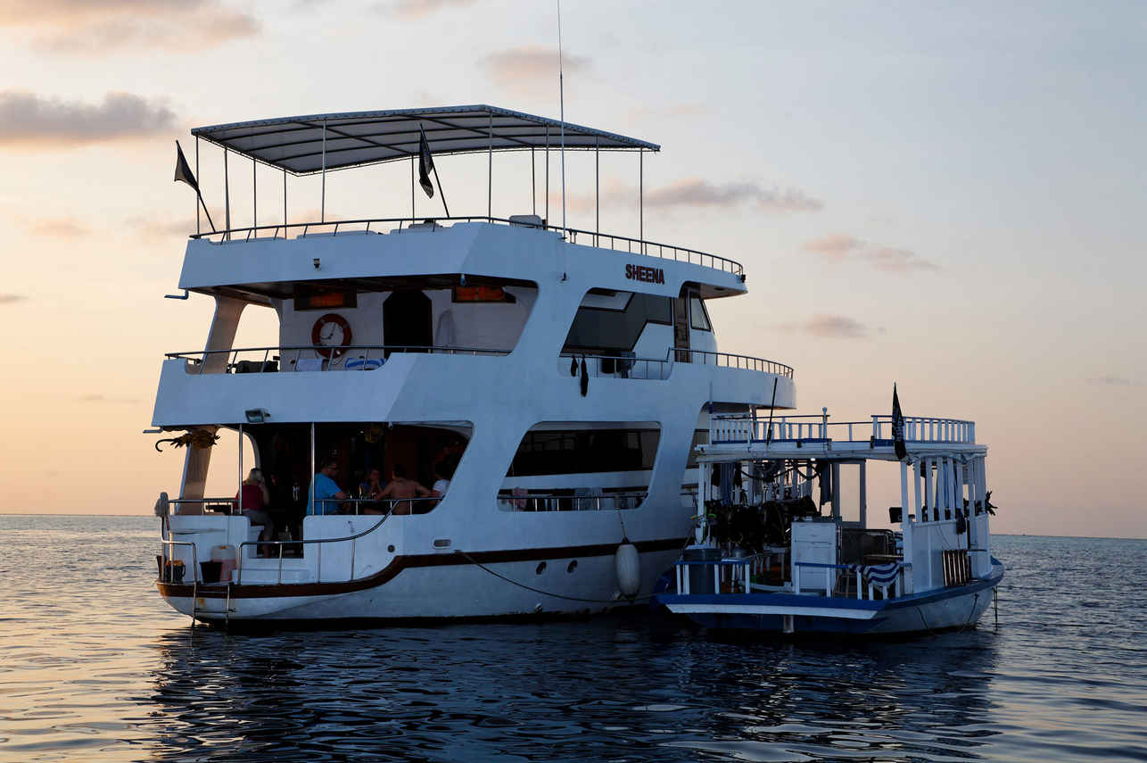 MY Sheena Liveaboard